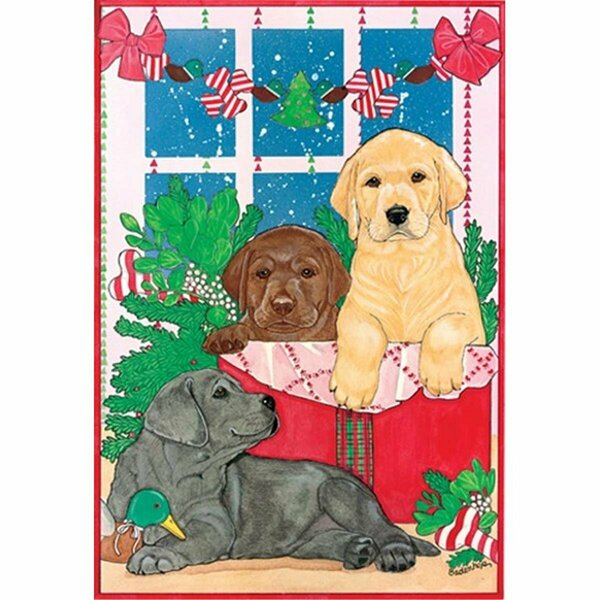 Pipsqueak Productions Holiday Boxed Cards- Labrador Retrievers Three Colors C817